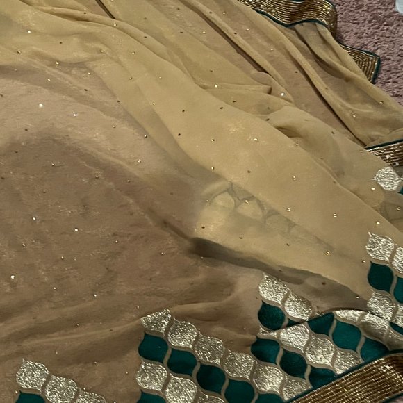 Pure Geogette embroidered designer Rangoli sequin saree - Picture 3 of 12